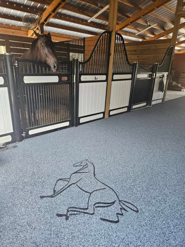 480899260_647372634361681_5797935131158967019_n